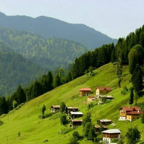 WhatsApp Image 2025-01-09 at 11.29.24 PM